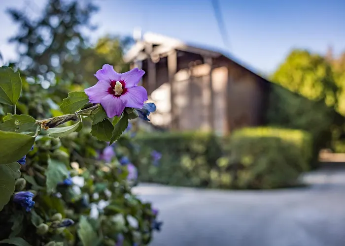 Arena Kemping & Vendeghaz 3* בודפשט