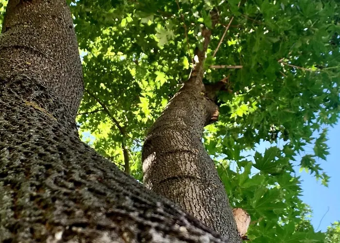 Arena Kemping & Vendeghaz בית הארחה